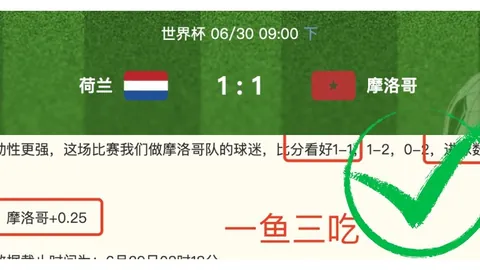 2026欧协联解析：主场关键战全胜攻略